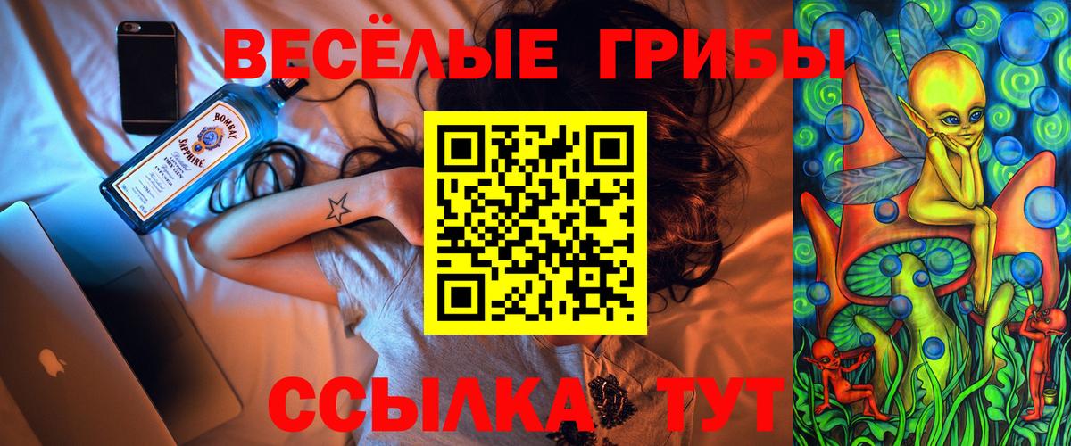 Аксай  Псилоцибиновые грибы мицелий  Вход с VPN 